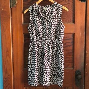 Loft petite small dress